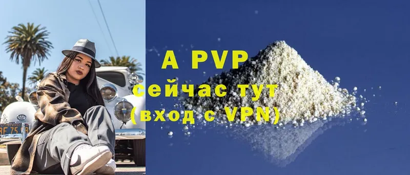 Alpha PVP СК Кизел